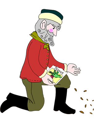 Grandfather plants some turnip seeds